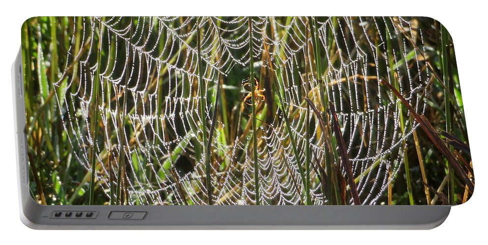 Morning Dew Portable Battery Charger featuring the photograph Delicate Morning Dew by Katie Keenan