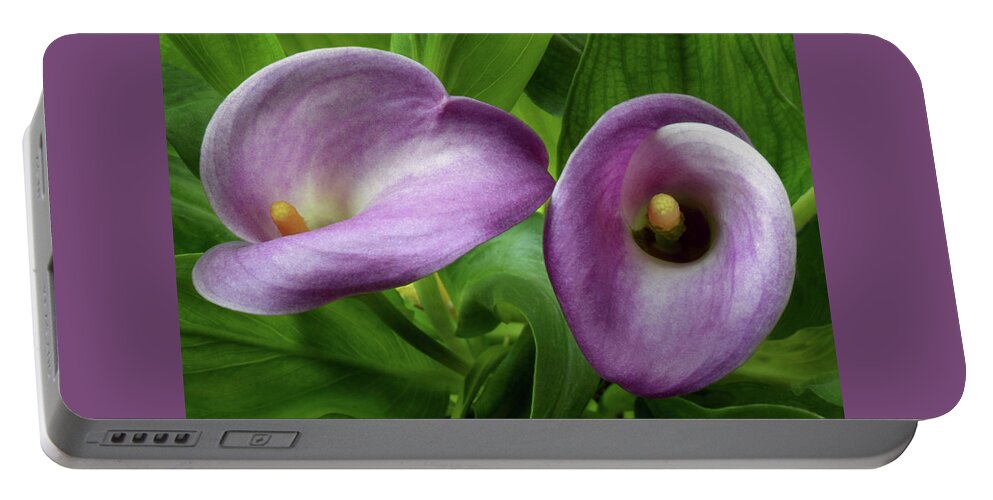 Calla Lilly Portable Battery Charger featuring the photograph Delighful Callas by Terence Davis