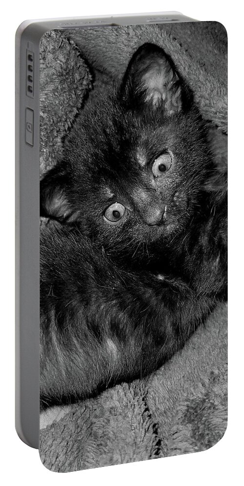 Kittens Portable Battery Charger featuring the photograph Derp by Ally White