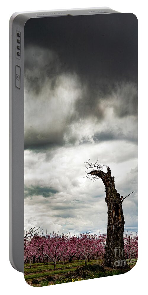 Clouds Portable Battery Charger featuring the photograph Descending by Marilyn Cornwell