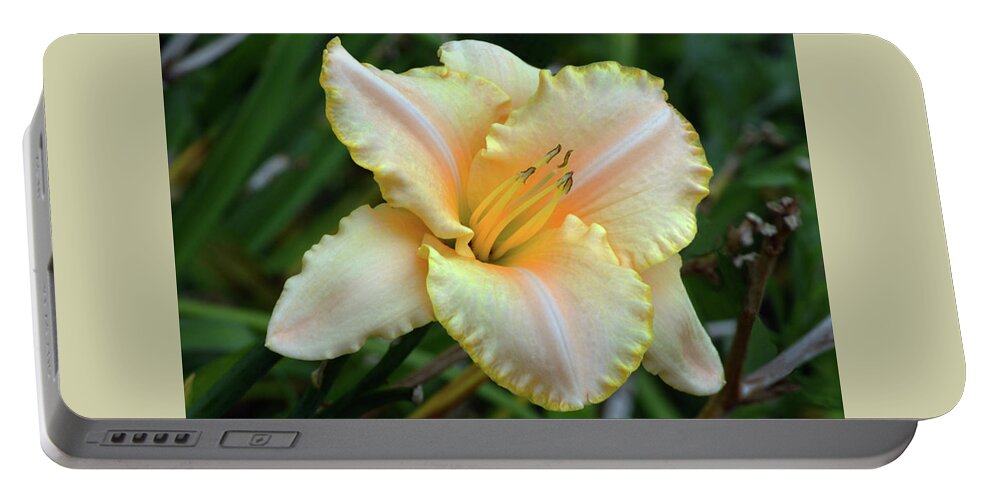 Daylily Portable Battery Charger featuring the photograph Desirable Daylily. by Terence Davis