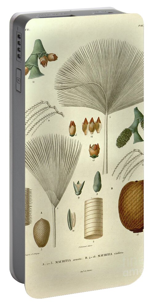 Details Portable Battery Charger featuring the photograph details of Palm tree parts u2 by Botany