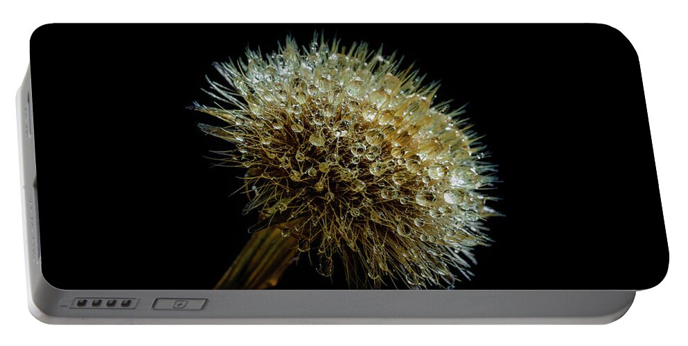 Flower Portable Battery Charger featuring the photograph Dew droplets on the faded flower by Stan Weyler