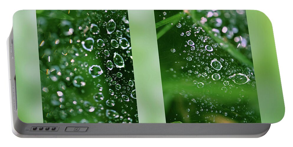 Dew Portable Battery Charger featuring the photograph Dew On Web by Karen Rispin