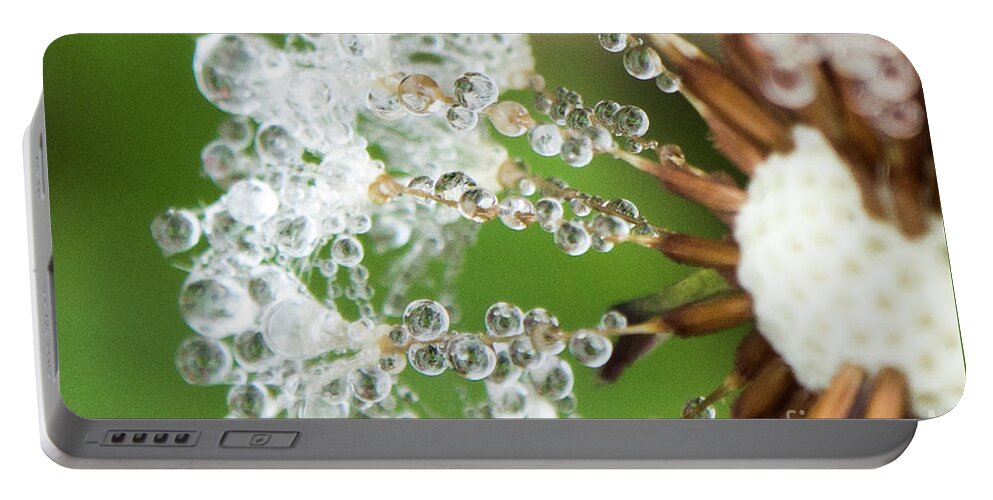 Closeup Portable Battery Charger featuring the photograph Dewy Diamond Dandelion 3 of 12 by Cheryl McClure