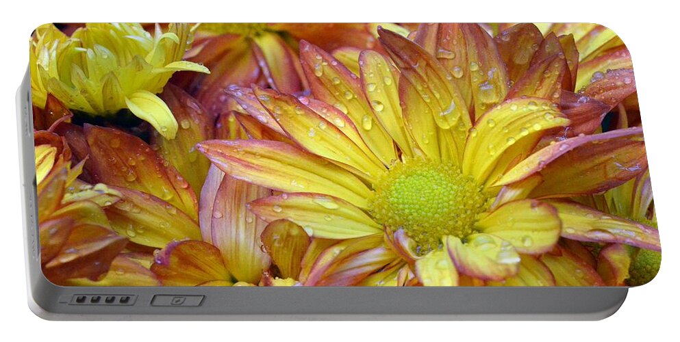 Daisy Portable Battery Charger featuring the photograph Dewy Pink and Yellow Daisies 2 by Amy Fose