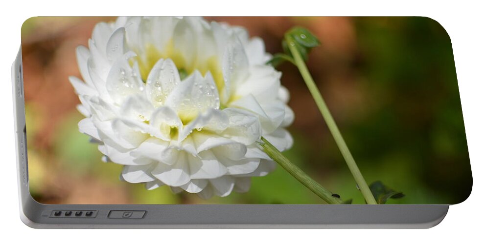 Dahlia Portable Battery Charger featuring the photograph Dewy White Dahlia by Amy Fose