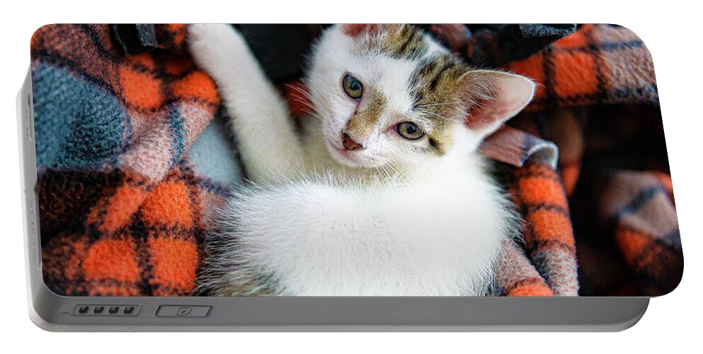 Dexter Kitten White Red Plaid Adorable Blanket Relaxed Cute Portable Battery Charger featuring the photograph Dexter - Our New Adorable Kitten by David Morehead