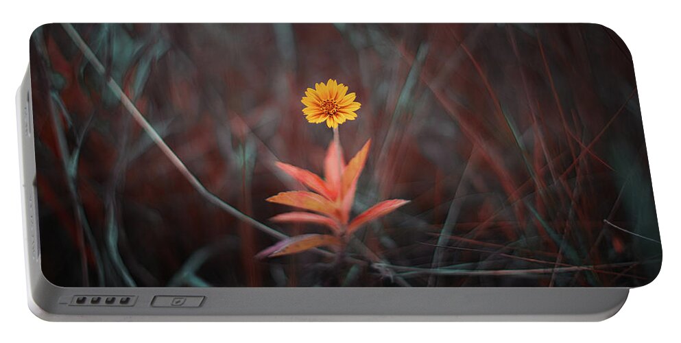 Nature Art Portable Battery Charger featuring the photograph Diamond In The Rough by Gian Smith