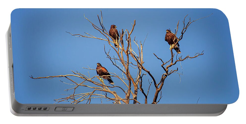 Arboretum Portable Battery Charger featuring the photograph Dinnertime by Rick Furmanek