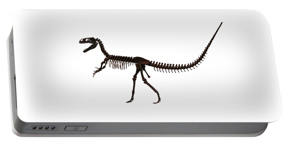 Dinosaur Portable Battery Charger featuring the painting Dinosaur Skeleton old bones by Tom Conway