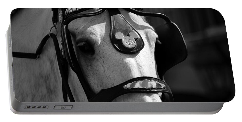 Fine Art Photography Portable Battery Charger featuring the photograph Disney horse with bridle work #1 by David Lee Thompson