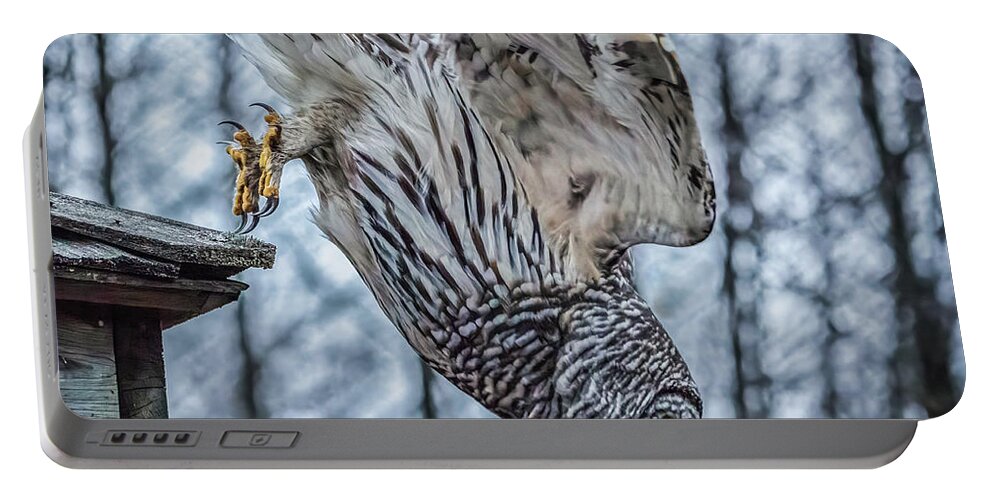 Barred Owl Portable Battery Charger featuring the photograph Dive by Brad Bellisle