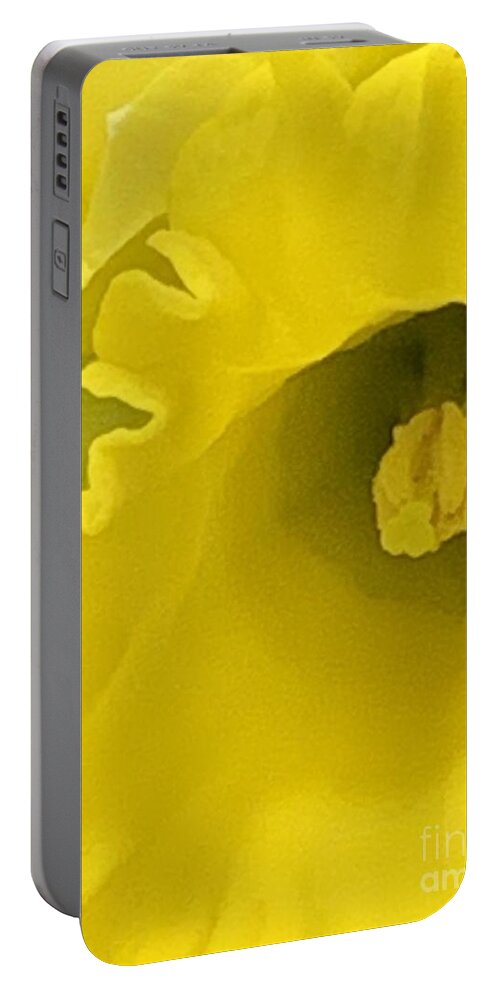 Daffodil Portable Battery Charger featuring the photograph Divinely Golden by Tiesa Wesen