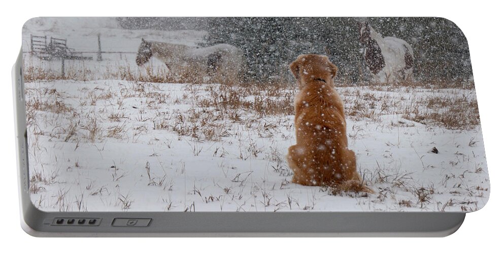 Snow Portable Battery Charger featuring the photograph Dog And Horses In The Snow by Karen Rispin