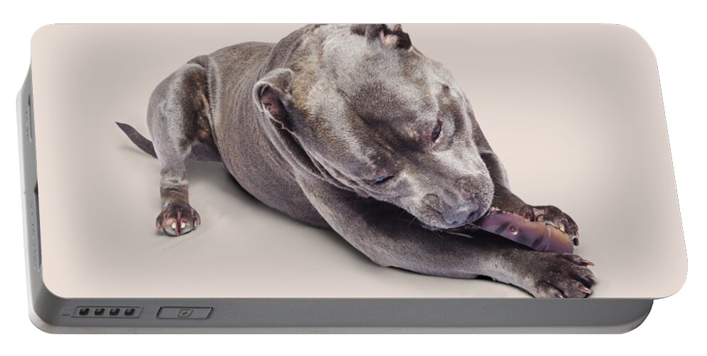 Pets Portable Battery Charger featuring the photograph Dog eating chew toy by Jorgo Photography