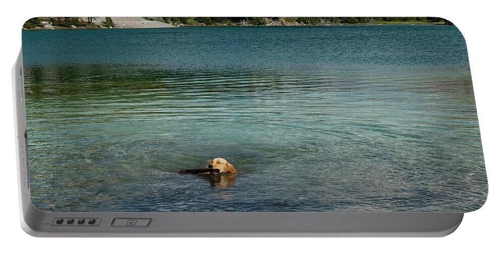 Dog Portable Battery Charger featuring the photograph Dog in Elbow Lake, Alberta by Karen Rispin