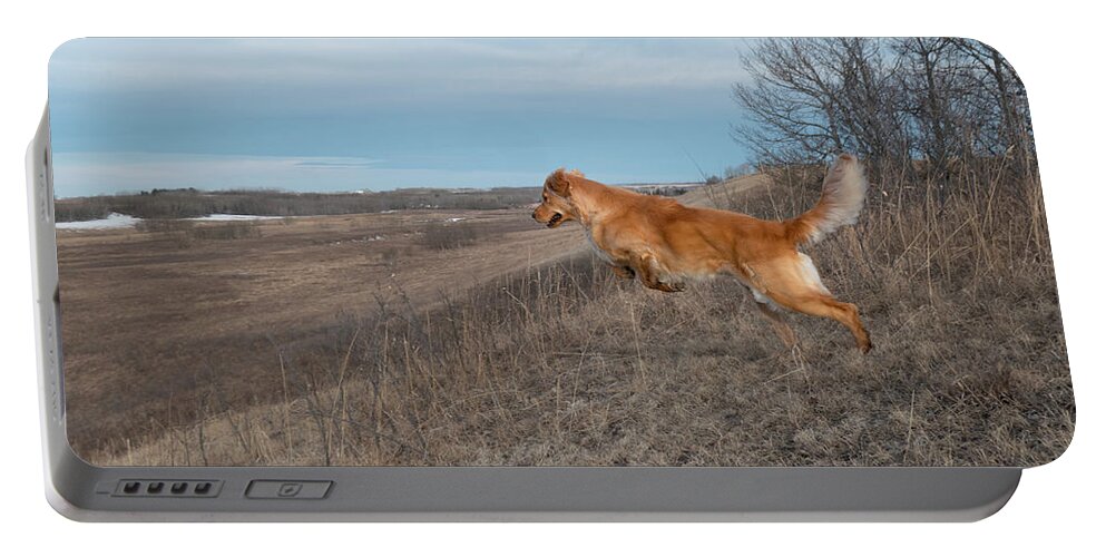 Leap Portable Battery Charger featuring the photograph Dog Leaping Down A Hill by Karen Rispin
