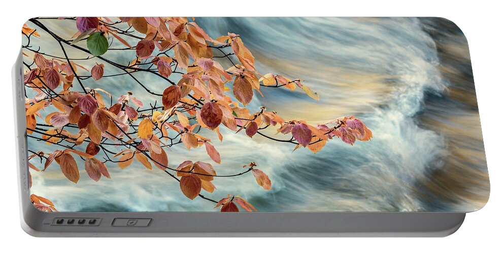 Dogwood Portable Battery Charger featuring the digital art Dogwood and Standing Waves by William Fields