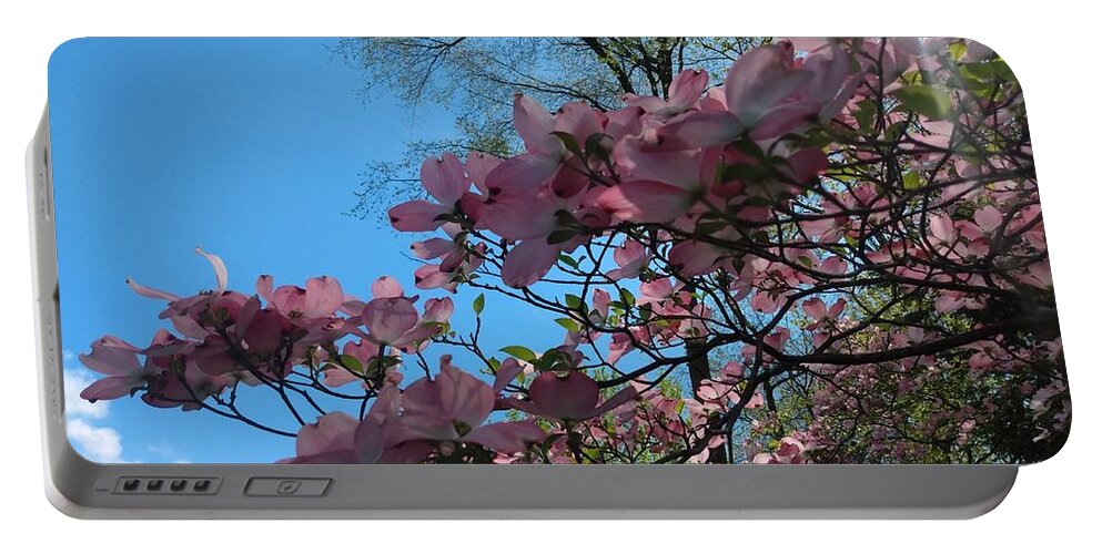 Sky Portable Battery Charger featuring the photograph Dogwood Tree and Blue Skies by Christopher Lotito