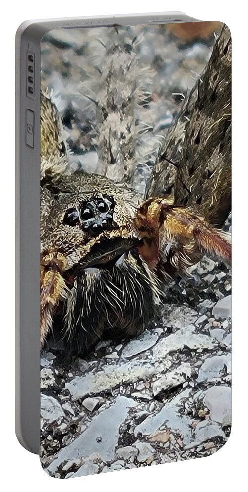 Fishing Spider Portable Battery Charger featuring the photograph Dolomedes Tenebrosus by Ally White