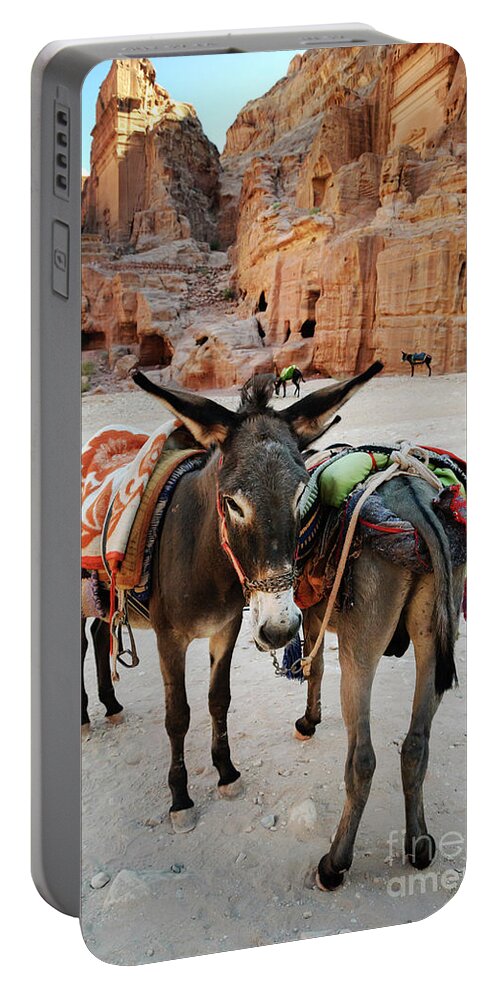 Donkey Portable Battery Charger featuring the photograph Donkeies in town of Petra by Jelena Jovanovic