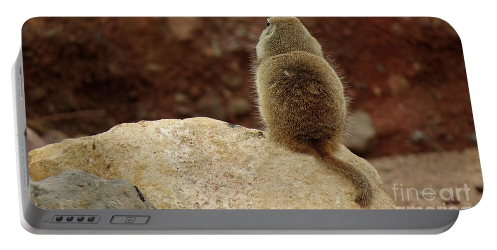 Animals Portable Battery Charger featuring the photograph Don't Talk To Me by Mary Mikawoz
