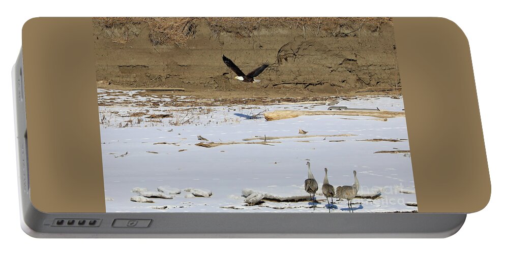 Eagle Portable Battery Charger featuring the photograph Don't Turn Your Back by Paula Guttilla