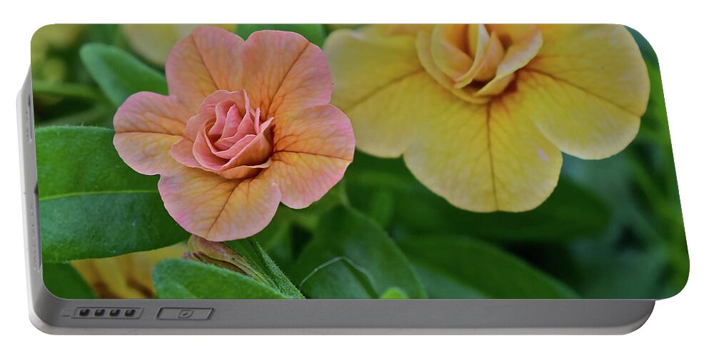 Flowers Portable Battery Charger featuring the photograph Double Amber Calbrachoa by Janis Senungetuk