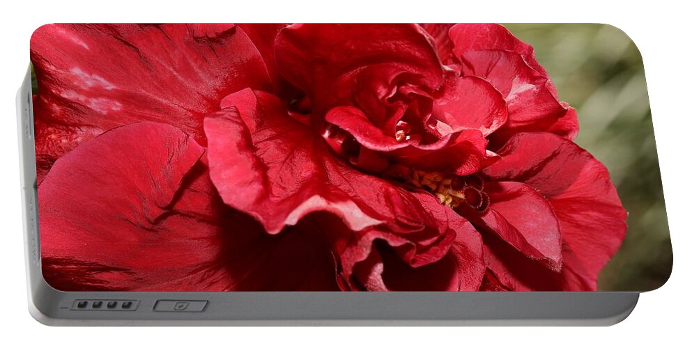Double Red Rose Portable Battery Charger featuring the photograph Double Red Rose Hibiscus by Mingming Jiang
