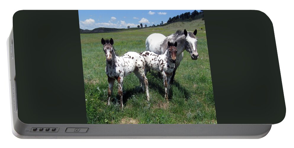 Appaloosa Portable Battery Charger featuring the photograph Double Trouble by Katie Keenan