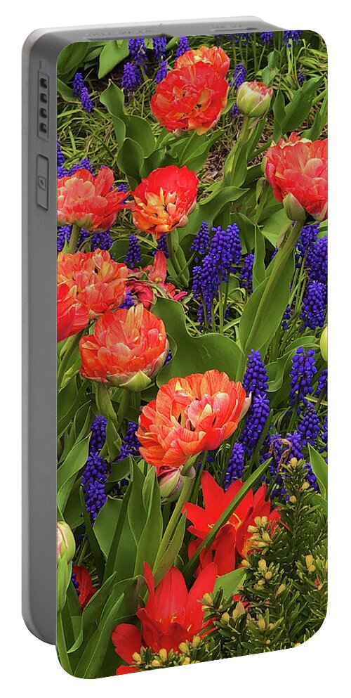  Portable Battery Charger featuring the photograph Double Tulips with Grape Hyacinths by Polly Castor