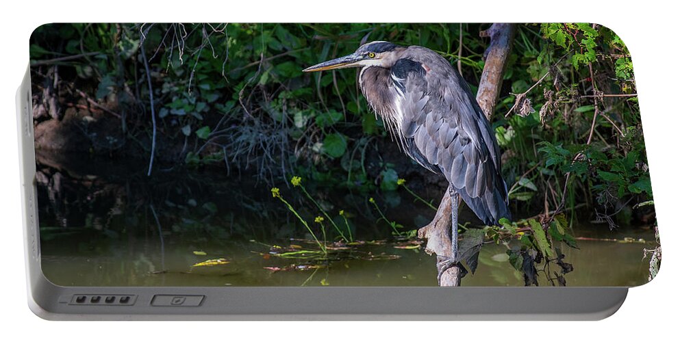 River Portable Battery Charger featuring the photograph Down by the river by Stephen Sloan