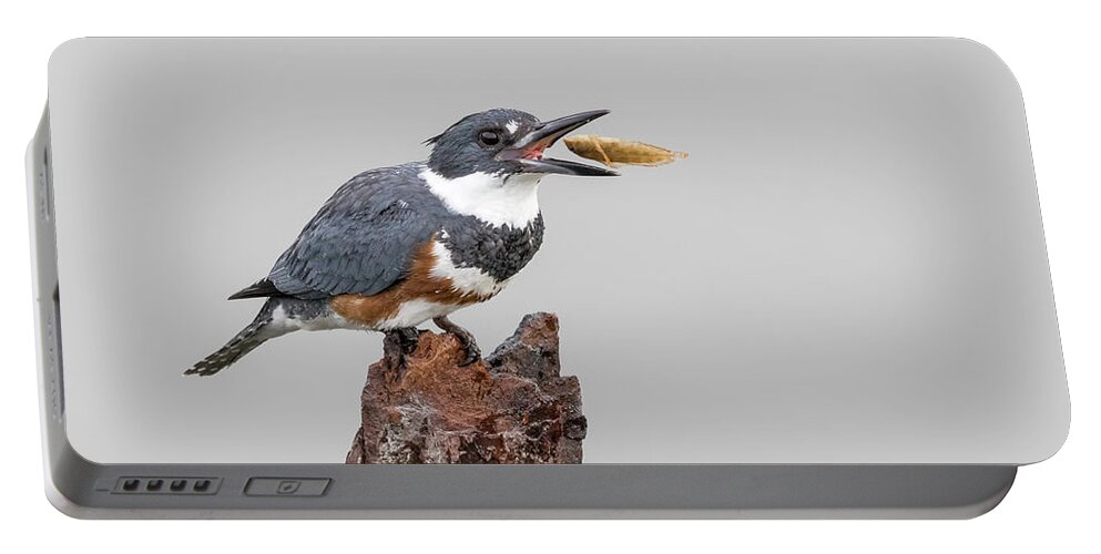 Kingfisher Portable Battery Charger featuring the photograph Down the Hatch by Jim Miller