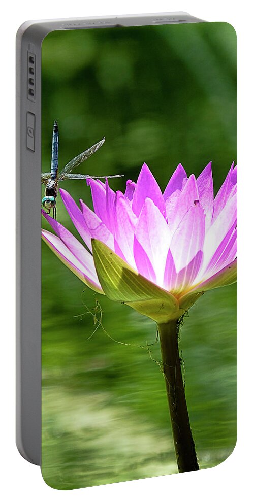 Dragonfly Portable Battery Charger featuring the photograph Dragon and Lily by Bill Barber