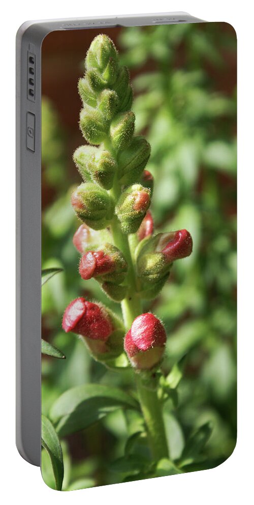  Portable Battery Charger featuring the photograph Dragon Buds by Heather E Harman