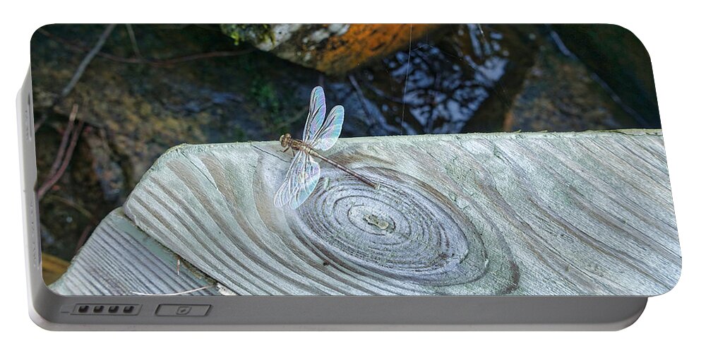 Dragonfly Portable Battery Charger featuring the photograph Dragon Fly with Rainbow Wings by Russel Considine