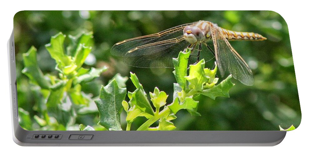 Photograph Dragonfly Thirds Green Portable Battery Charger featuring the photograph Dragonfly by Beverly Read