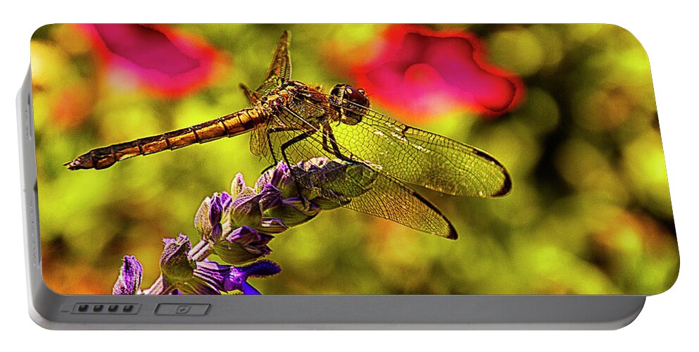 Dragonfly Portable Battery Charger featuring the photograph Dragonfly by Bill Barber