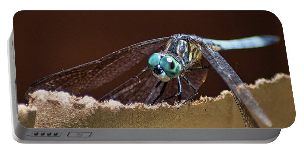 Insect Portable Battery Charger featuring the photograph Dragonfly Eyes by Portia Olaughlin