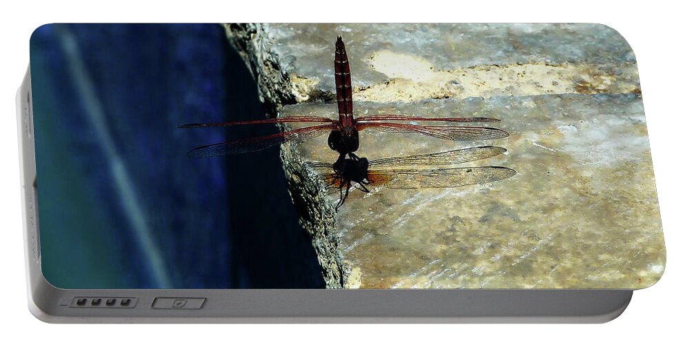 Poolside Portable Battery Charger featuring the photograph Dragonfly-Poolside-Limassol-Cyprus by Pics By Tony