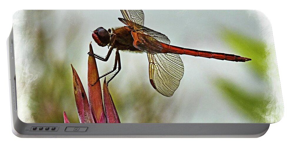 Dragonfly Portable Battery Charger featuring the photograph Dragonfly with vignette by Bill Barber