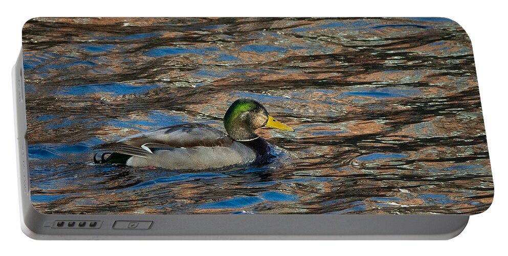 Duck Portable Battery Charger featuring the photograph Drake's Colorful World by Linda Bonaccorsi