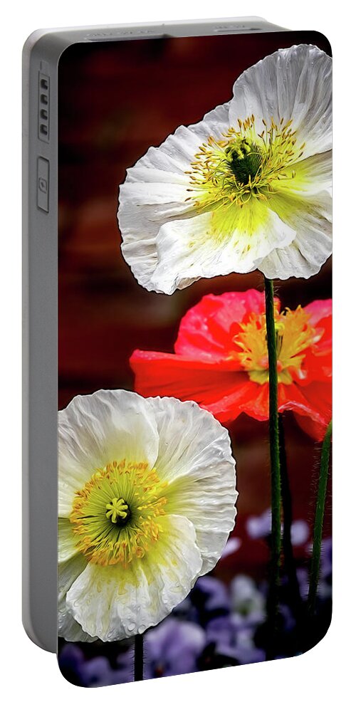 Poppy Portable Battery Charger featuring the photograph Dramatic Poppies by Elvira Peretsman