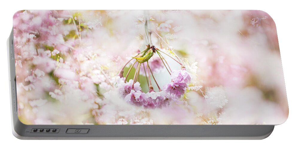 Blossoms Portable Battery Charger featuring the photograph Dreamland by Marilyn Cornwell