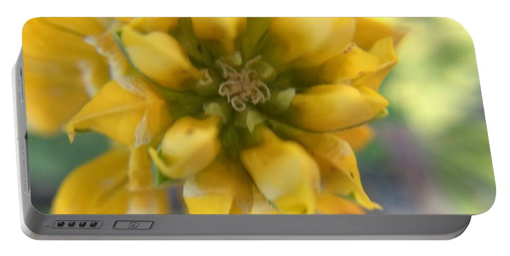 Yellow Rose Portable Battery Charger featuring the photograph Dreamy Yellow Rose by Vivian Aumond
