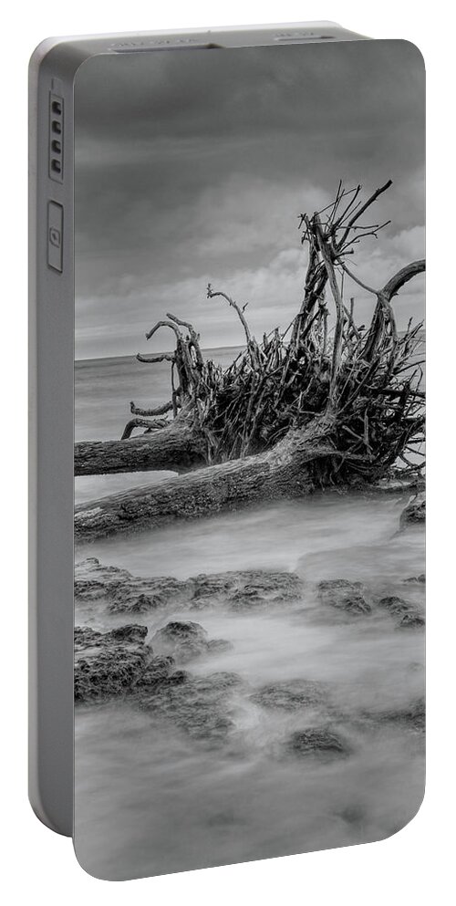 Black Portable Battery Charger featuring the photograph Driftwood Beach in Black and White by Carolyn Hutchins