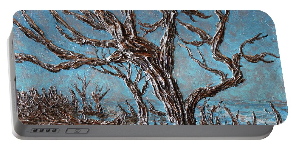 Beach Portable Battery Charger featuring the painting Driftwood Mystery by Linda Donlin