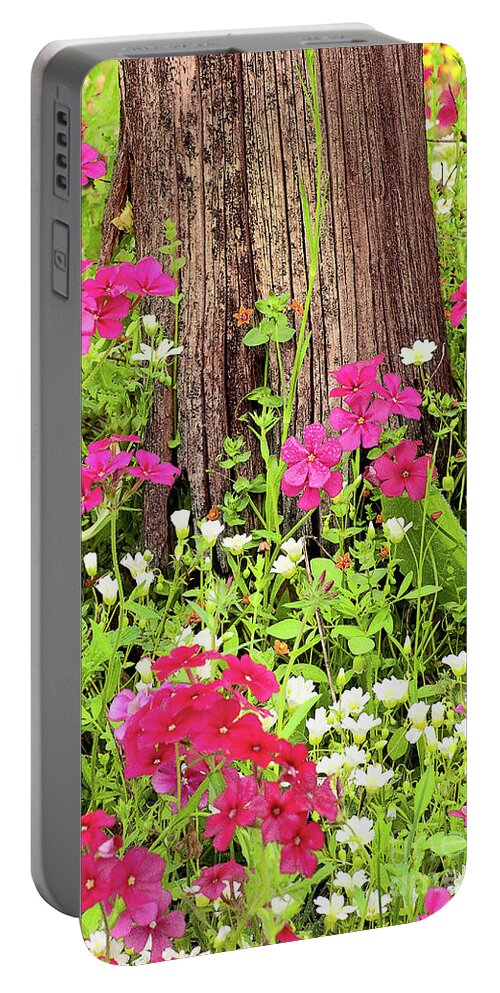 Dave Welling Portable Battery Charger featuring the photograph Drummonds Phlox Phlox Drummondii Texas by Dave Welling