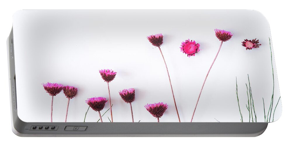 Dry Flowers Portable Battery Charger featuring the photograph Dry purple floral bouquet on white background. by Michalakis Ppalis